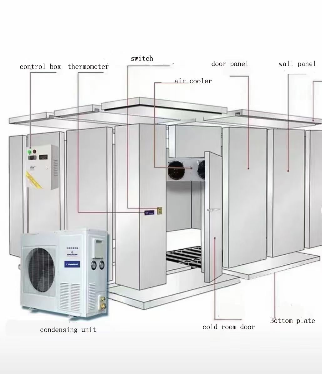 Cold room model.jpg