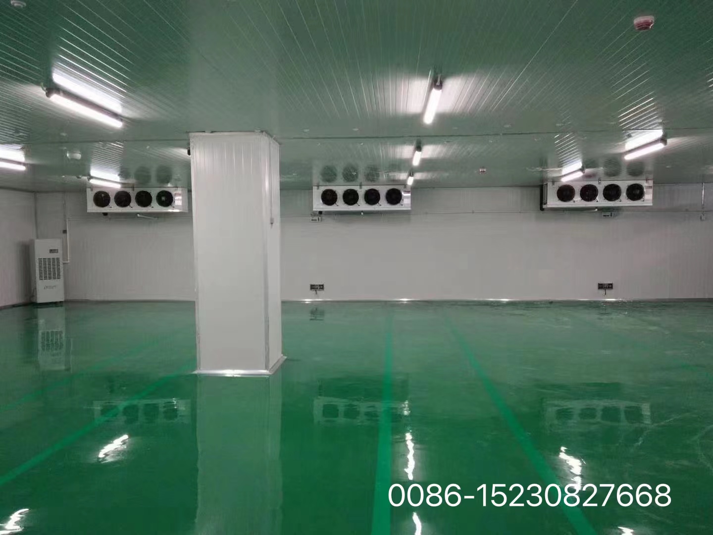 cold room storage building.jpg